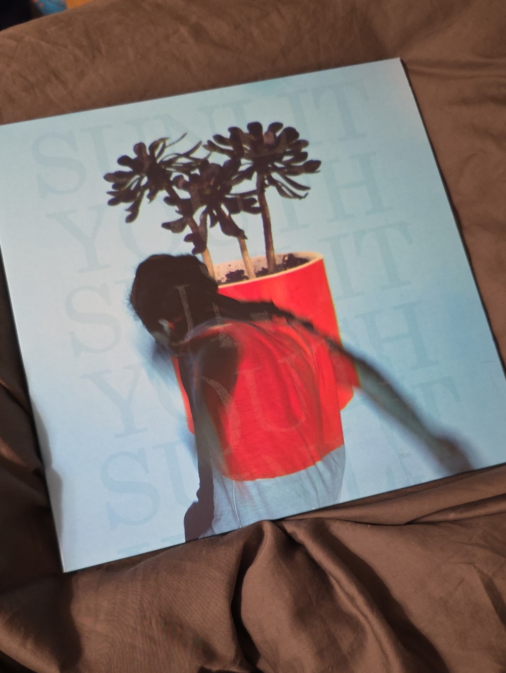 Local Natives Sunlit Youth Vinyl LP Album - Indie Rock Limited Color Pressing